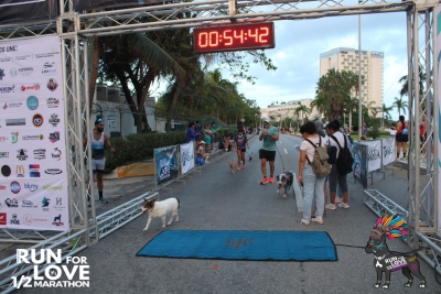 Run for Love 2024